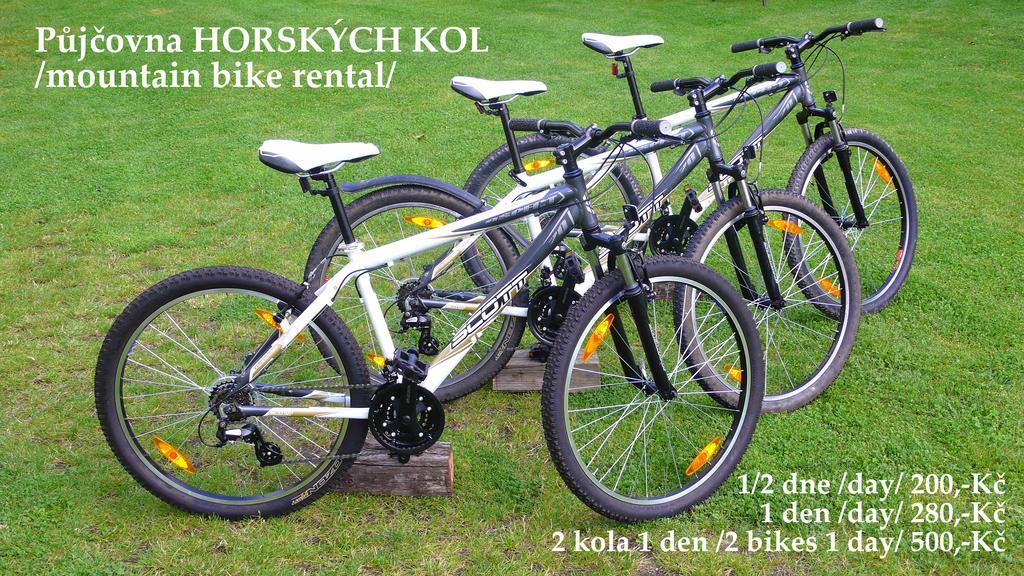 Penzion Fousek Zvíkovské Podhradí Dış mekan fotoğraf